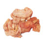 Intestine cow