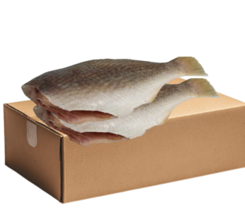 Crocker Headless (box)