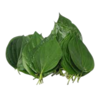 Pack Bitter leaf (Fresh)