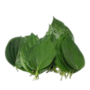Pack Bitter leaf (Fresh)